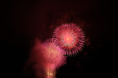 DSCF2379