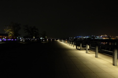 DSCF3528