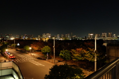 DSCF3628