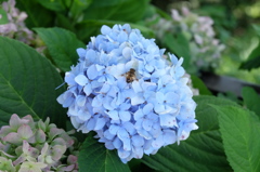 DSCF2216