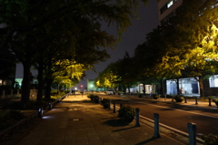 DSCF3508