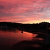 DSCF2141