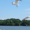 DSCF2011