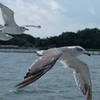 DSCF2002