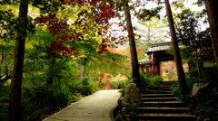 京の紅葉2