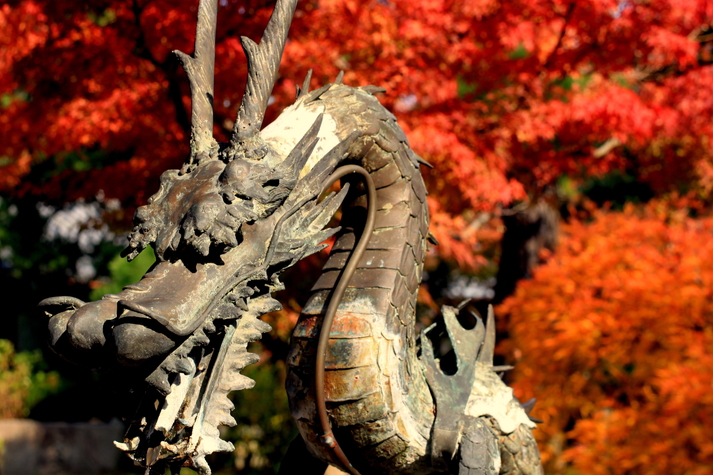 紅葉4