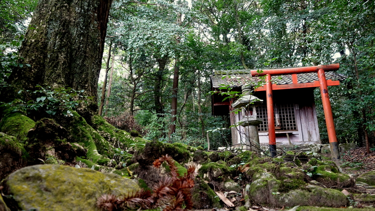 神社