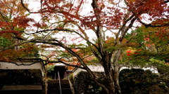 京の紅葉3