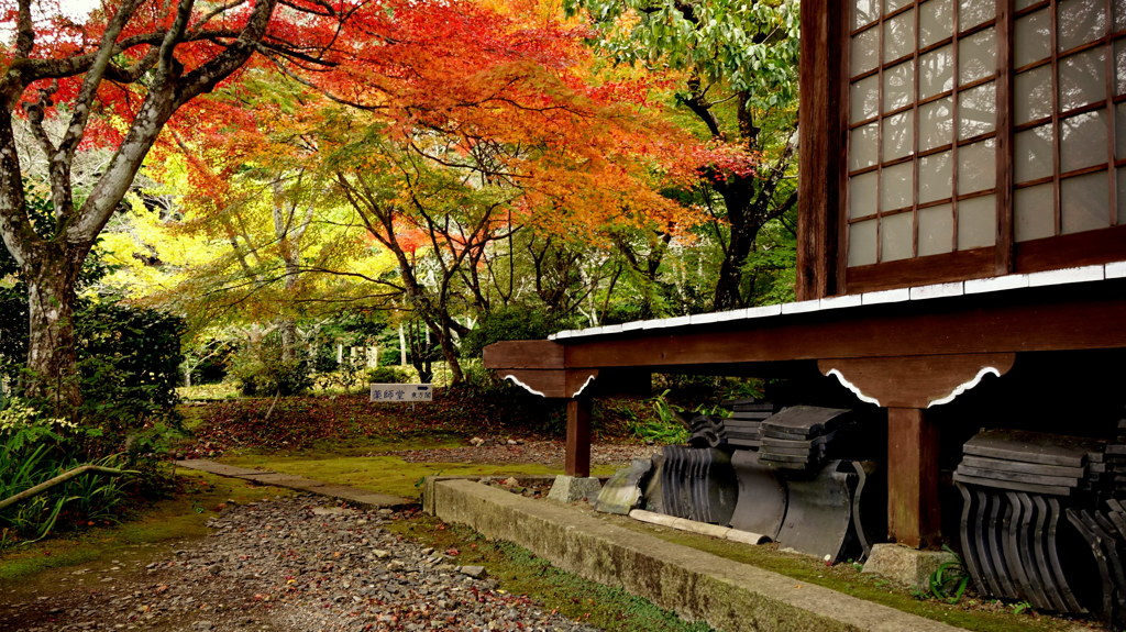 京の紅葉6
