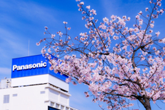 パナソニックミュージアム桜広場にて