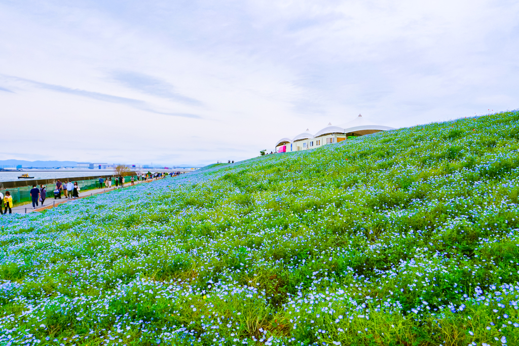 大阪南港舞洲　3