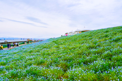 大阪南港舞洲　3