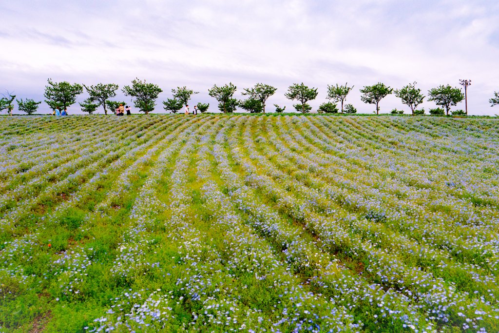 大阪南港舞洲　5