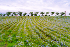 大阪南港舞洲　5