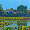 大沢池