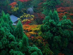 朝の光景