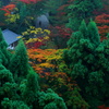 朝の光景
