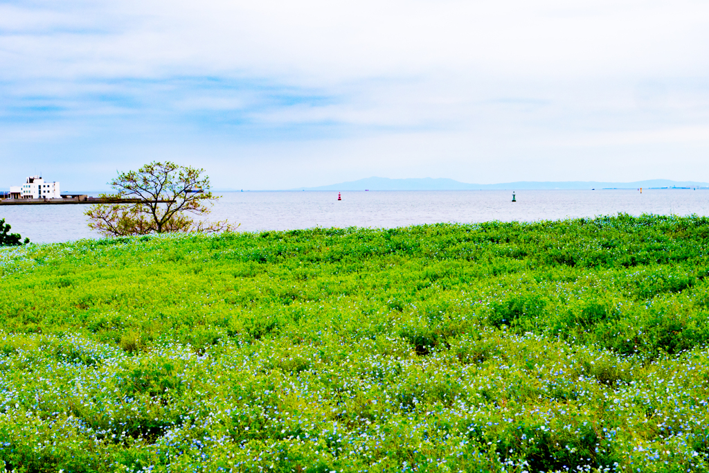 大阪南港舞洲　4