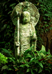 IMGP02701356,3200400