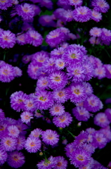 IMGP10631355,6160100