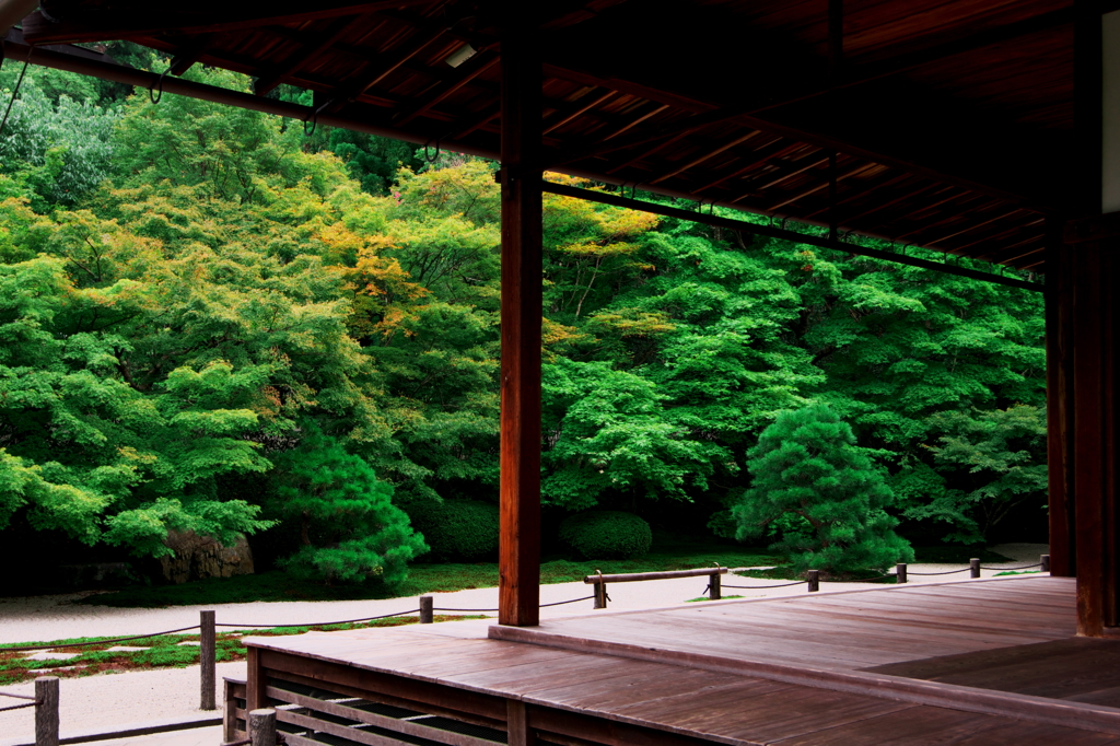 庭園