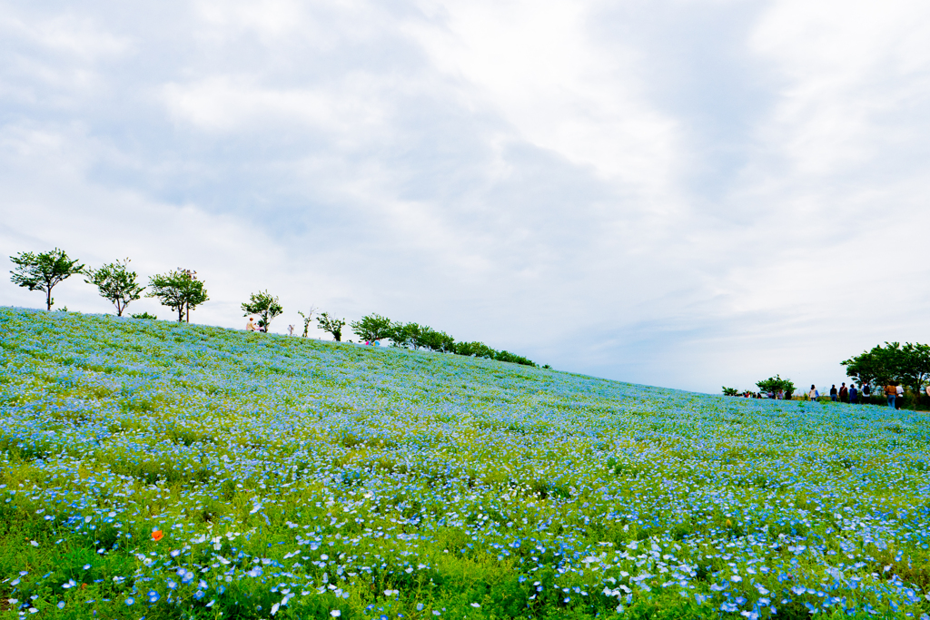 大阪南港舞洲　2