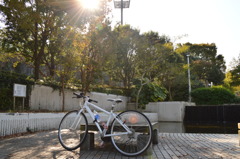 秋晴れのサイクリング