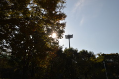 太陽に照らされて、