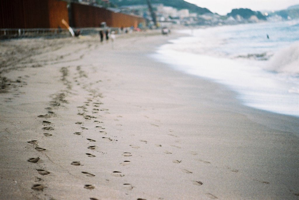 sea