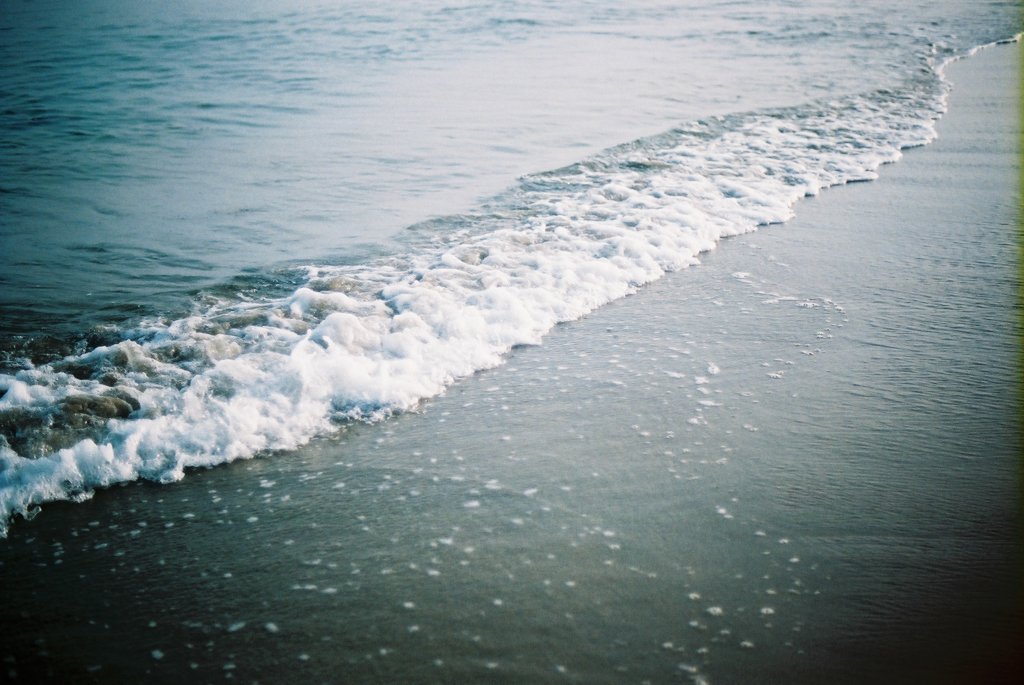 sea...