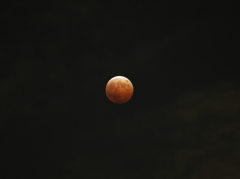 ピークを迎える前に雲隠れ