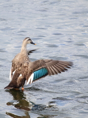 R_IMG_0861
