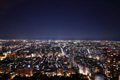DPP_0021
