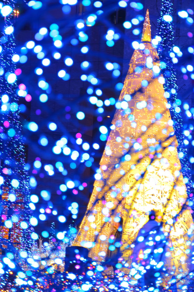 DPP_0027