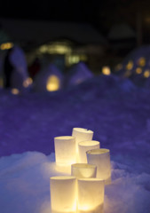 雪燈籠祭り＠弘前公園②