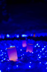 雪燈籠祭り＠弘前公園④