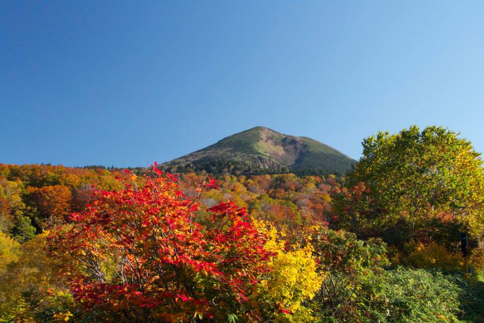 紅葉
