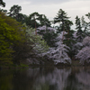 弘前公園 桜祭りⅡ