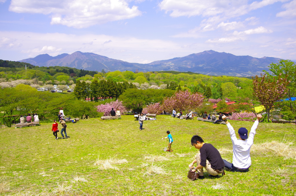 牧場での風景