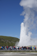 Yellowstone national park