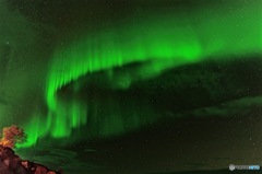 Northern lights in Arctic Norway