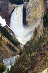 Yellowstone river