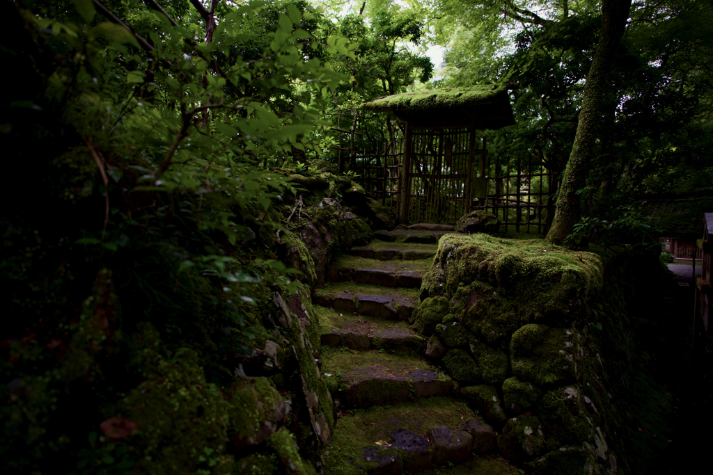 京都　高雄を歩く