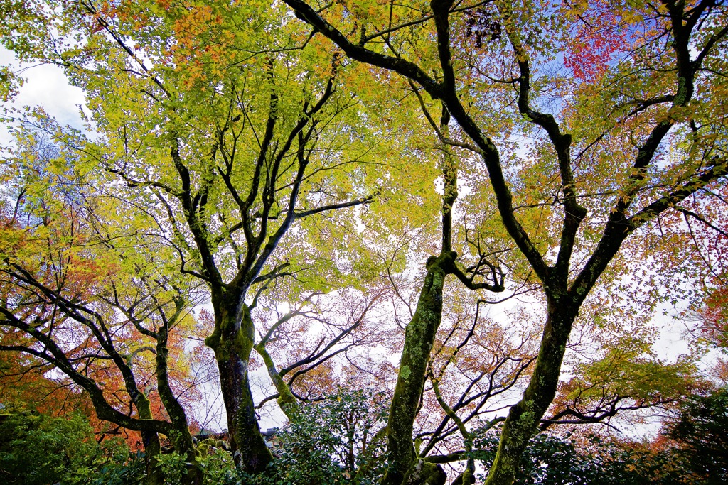京都　大原