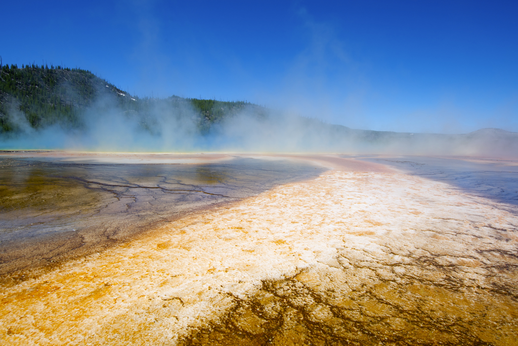 Yellowstone national park