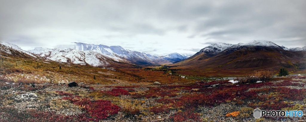 極北Yukonの大地