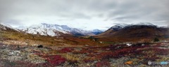 極北Yukonの大地