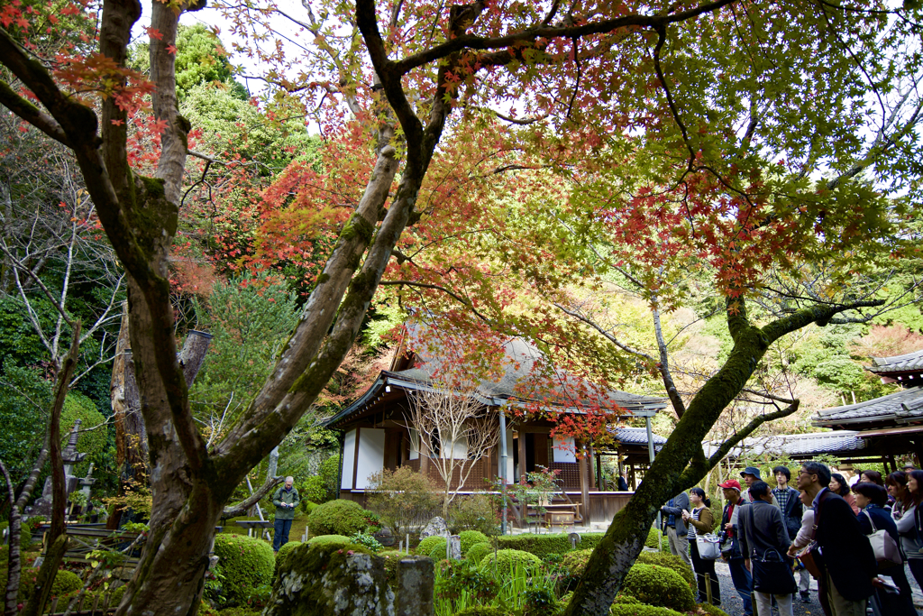 京都　大原
