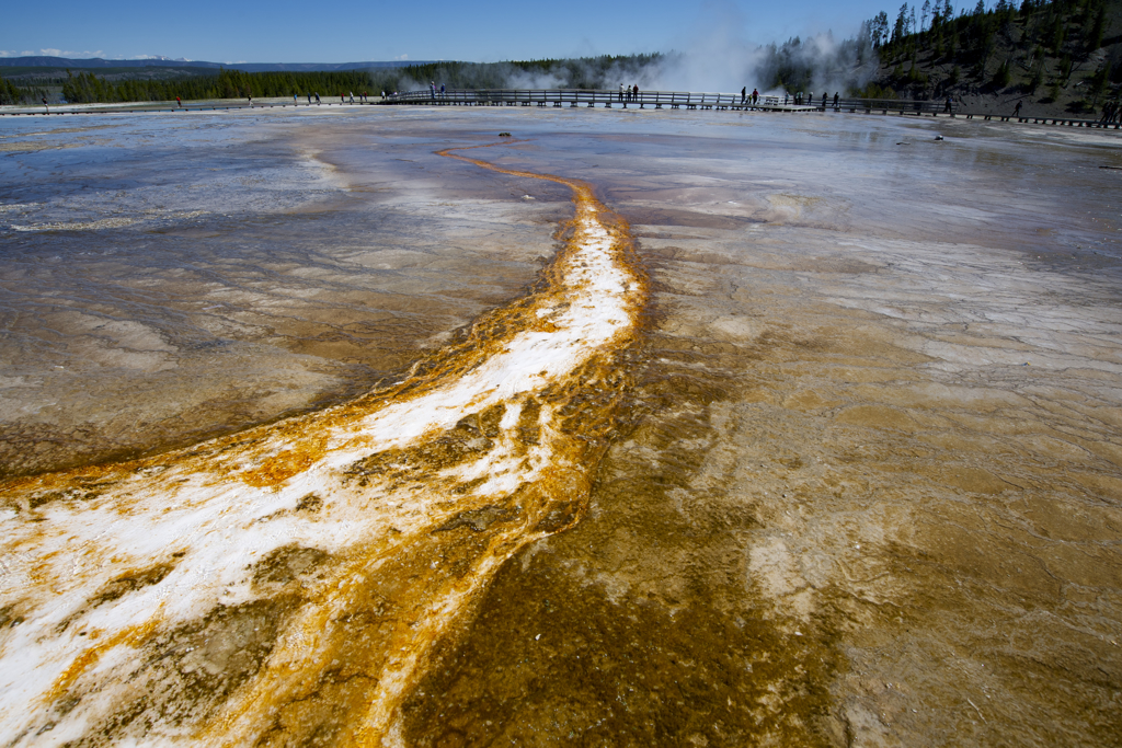 Yellowstone national park