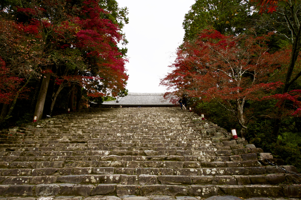 錦秋の神護寺